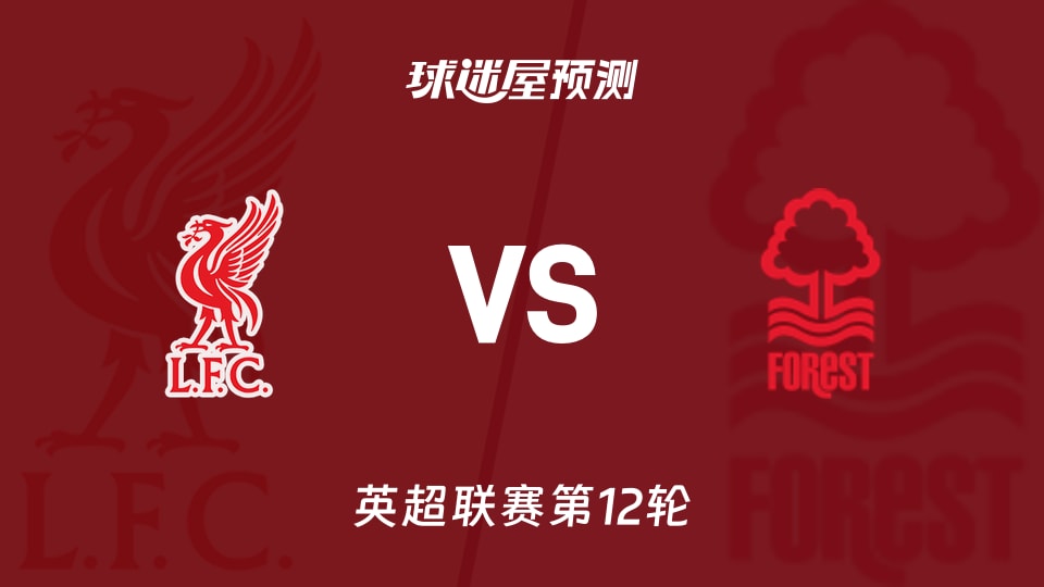 马特拉齐：意大利这样强大的球队理应以进世界杯决赛圈为目标